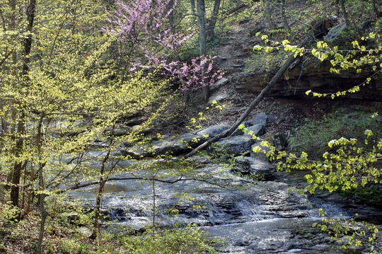 McCormicks Creek State Park in the Spring