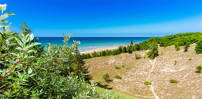 Indiana Dunes State Park
