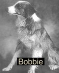 Bobbie
