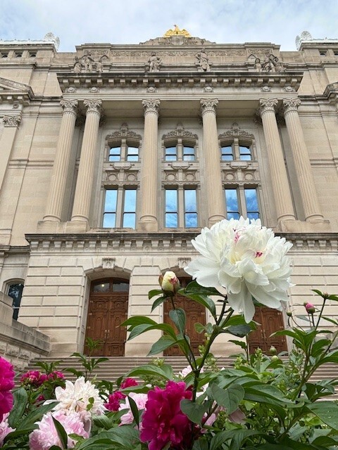 south lawn