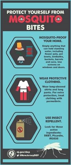 Mosquito Infographic