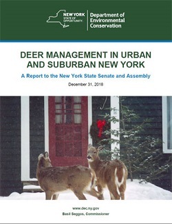 Cover of deer management report