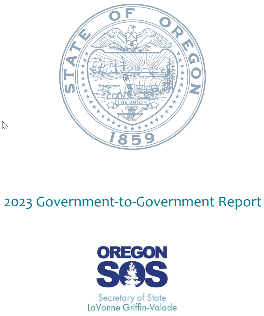 government-to-government report cover