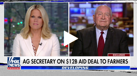 null Interview pic 2