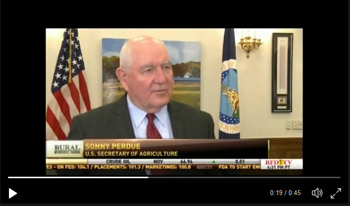 null Interview pic 3