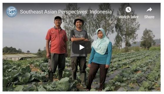 Indonesia Video