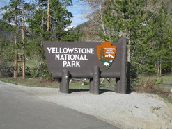 Yellowstone