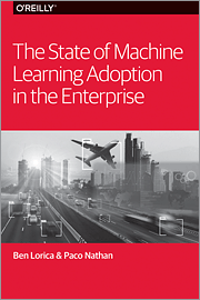 The State of Machine Learning Adoption in the Enterprise book cover