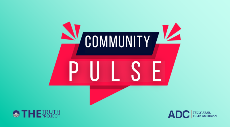 The Newsletter The Newsletter