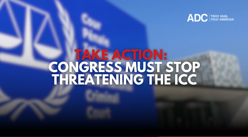 The Newsletter The Newsletter