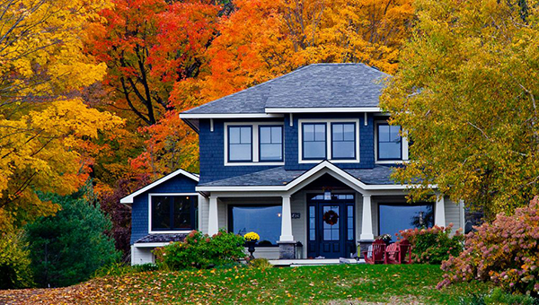 Buying and Selling in the fall