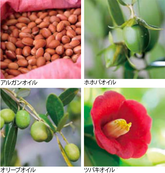 Alternate text Alternate text