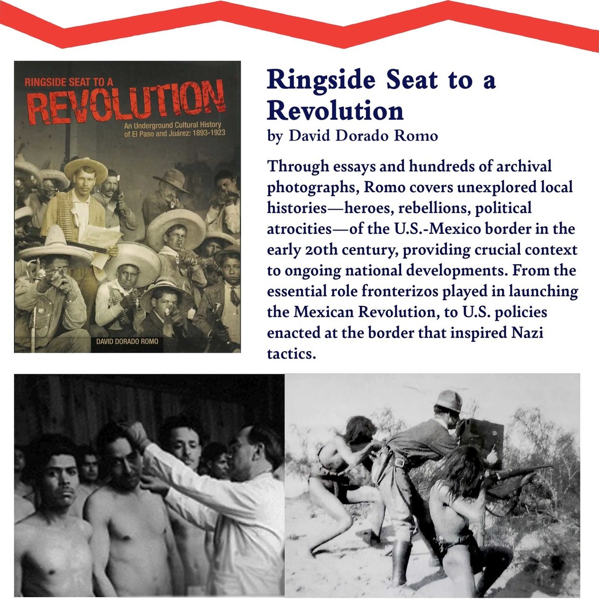Ringside to a Revolution by David Dorado Romo