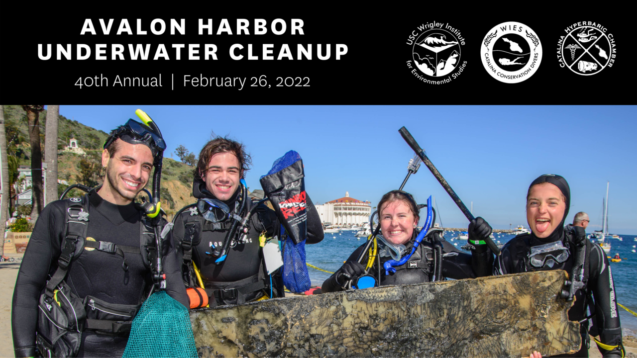 40th Avalon Underwater Cleanup, February 26th, 2022