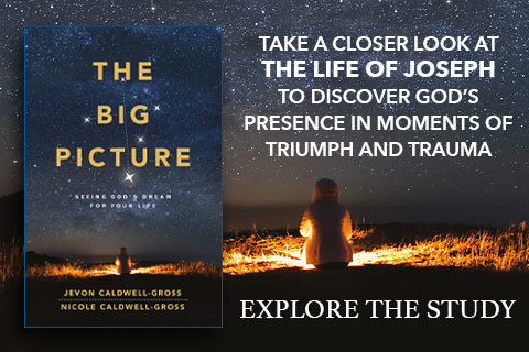 The Big Picture The Big Picture