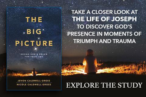 The Big Picture The Big Picture