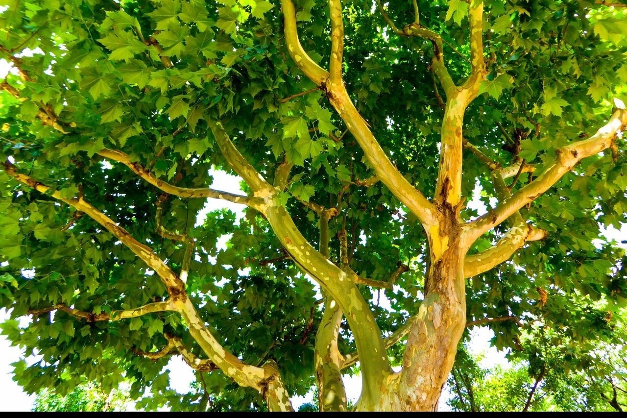 Sermon Notes Sermon Notes