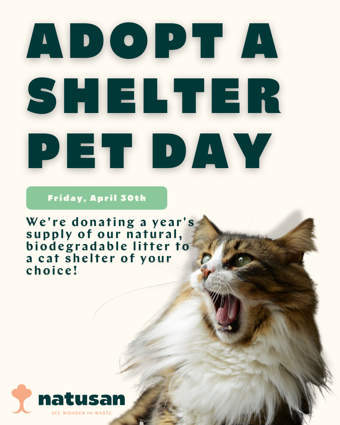 Image: https://ecp.yusercontent.com/mail?url=https%3A%2F%2Fd3k81ch9hvuctc.cloudfront.net%2Fcompany%2FMUq97A%2Fimages%2F2d6750d9-193b-4f4f-9a80-95cc79041d3c.png&t=1619818421&ymreqid=8d740404-57bf-d3e8-1cdc-de0064011d00&sig=_7EMy0NVuHtK6FoGoZQStA--~D