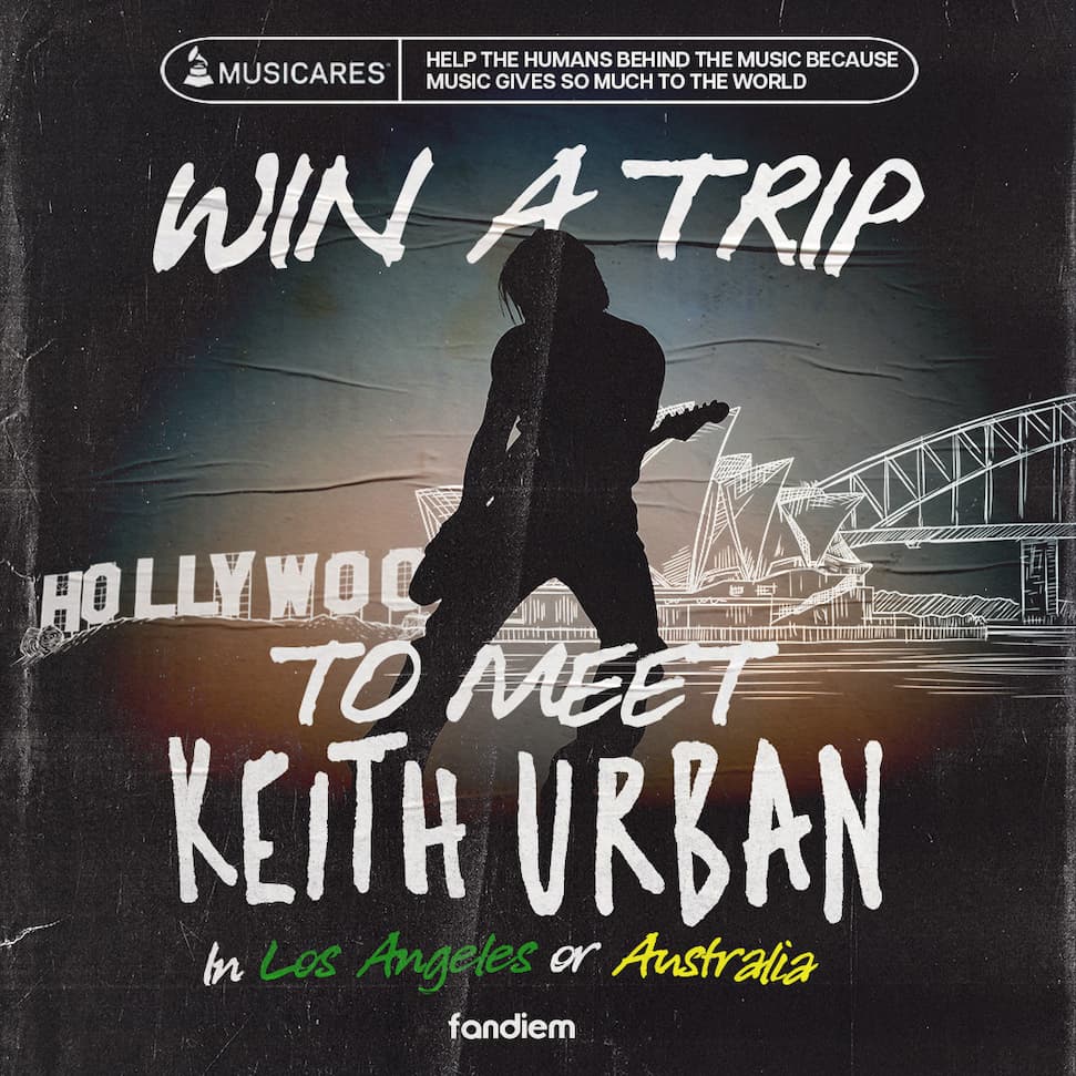 Fandiem Campaign Graphic Fandiem Campaign Graphic