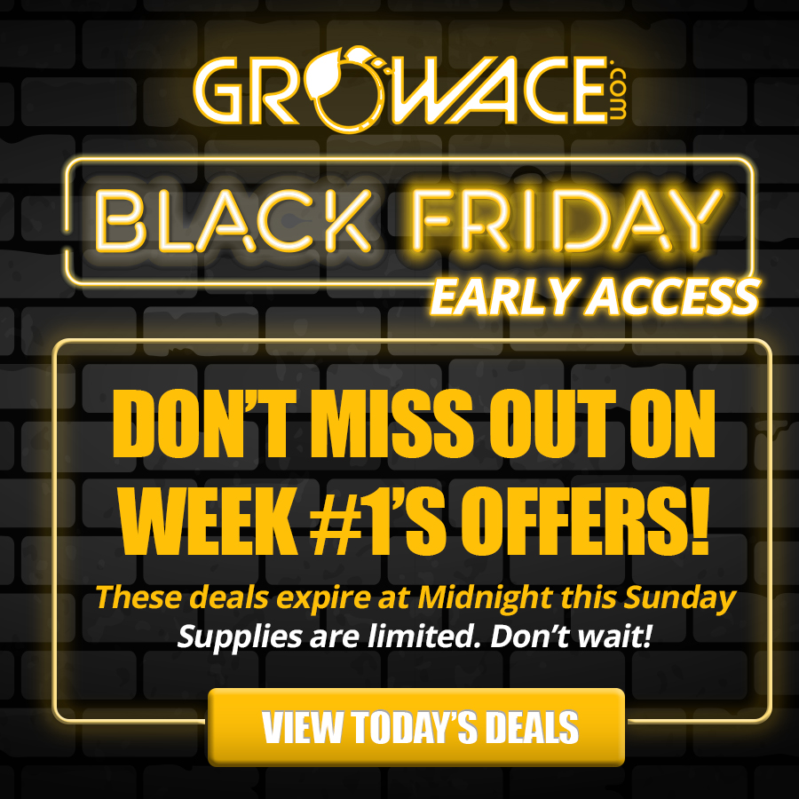 Click here to see this week's Black Friday Early Access deals! Lock in your favorite offers now because these deals go into the vault on Sunday at midnight!
