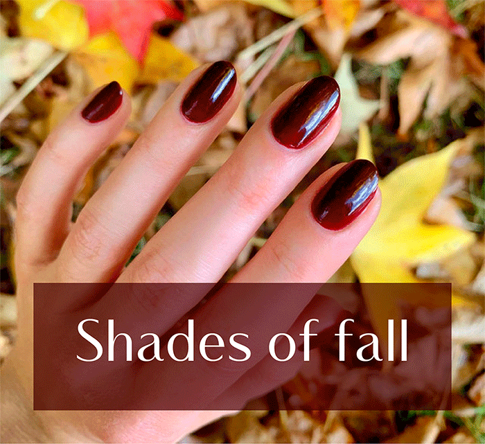Shades of fall