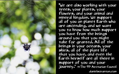 there is arcturian support all around you - the 9th dimensional arcturian council - channeled by daniel scranton, channeler of archangel michael