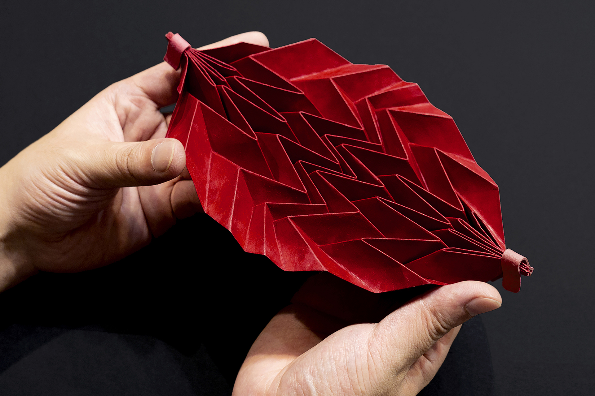 Origami Shikki, Atsushi Morita, 2022 