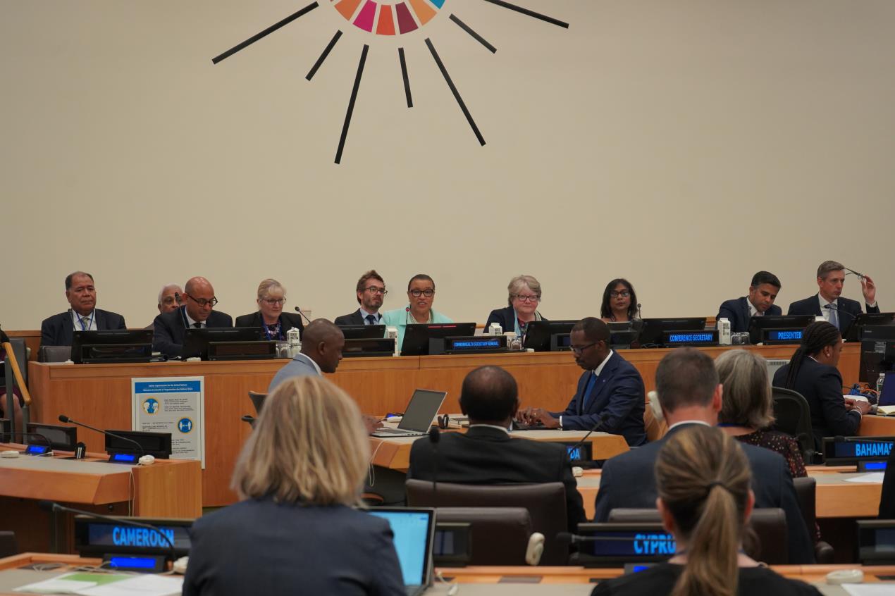 53205746704_684e7f11ba_o 53205746704_684e7f11ba_o