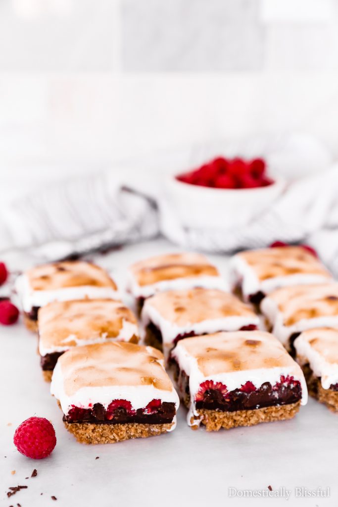 These Raspberry Nutella S'mores Bars are an easy baked dessert for summer parties & as a rainy summer day treat.