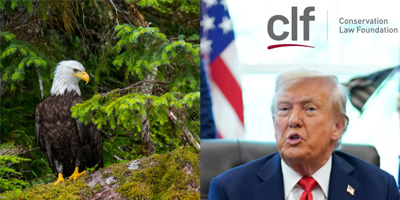 Click to read the article! photo