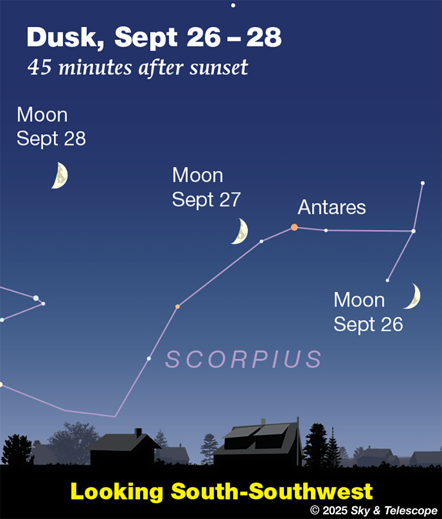 The low waxing Moon passes the head of Scorpius, Sept. 26-27, 2025.