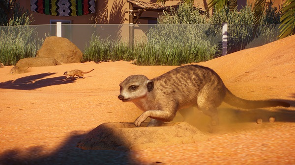 Planet Zoo: Africa Pack Adds Four New Animals
