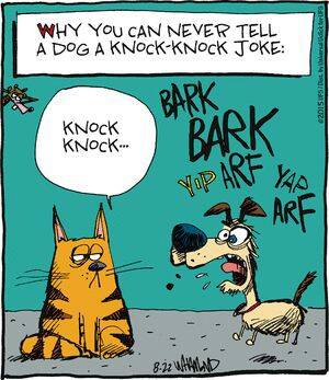 Image result for why you can never tell a dog a knock knock joke