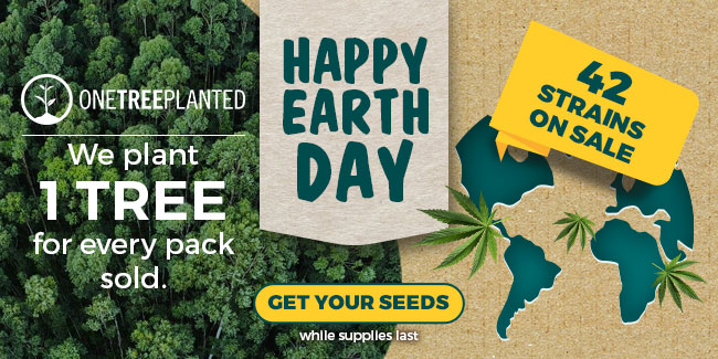 4:20 seeds 4 seeds promo - 42 strains on sale - offer valid until April 30th - GET YOUR SEEDS