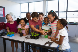 a group of children in a classroom stand around a table full of plants