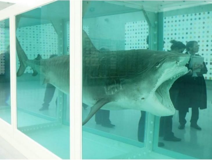 most expensive items stuffed shark