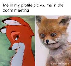35 Best Posts About The Everyday Realities Of Zoom Meetings ...