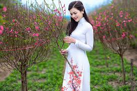 Tạo dáng chụp ảnh áo dài trắng đẹp bên hoa đào Nhật Tân bạn cần biết! Áo  dài Minh Nguyệt