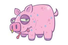 Image result for The Swine Flu
