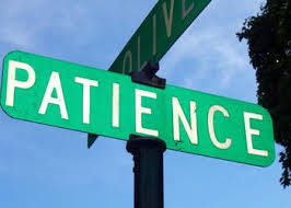 Image result for With patience.