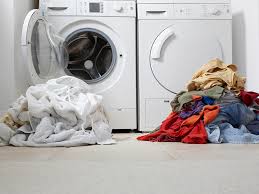 Image result for Laundry Sanitizer