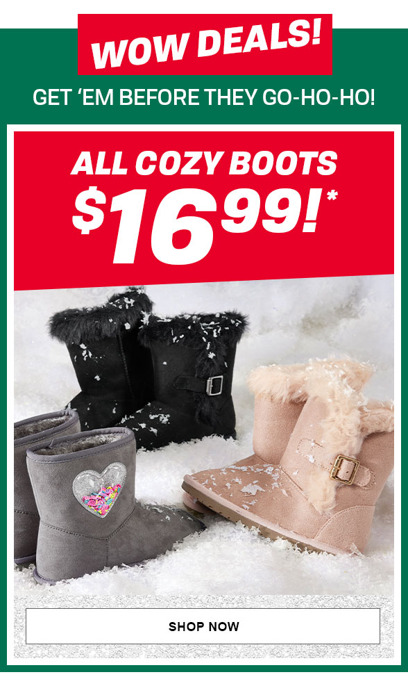 $16.99 Cozy Boots