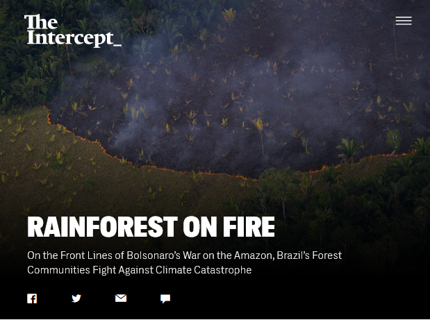 Intercept: Rain Forest on Fire