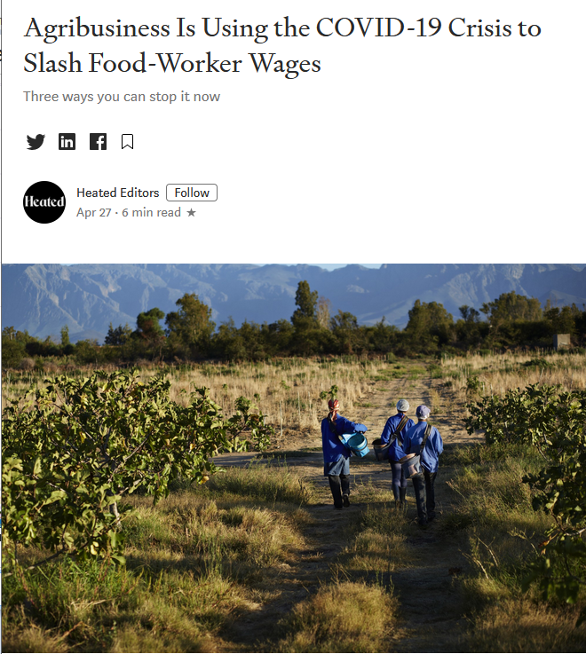 Medium: Agribusiness Is Using the COVID-19 Crisis to Slash Food-Worker Wages