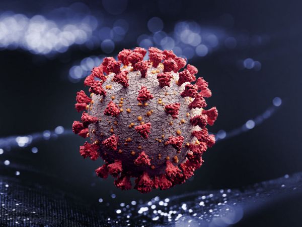 Covid-19 : une nouvelle mutation du virus inquiète les chercheurs