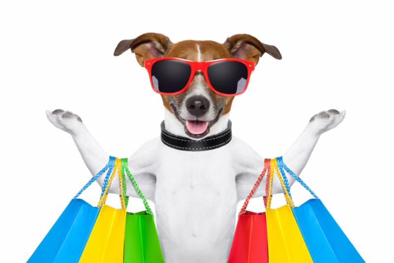 shopping_dog.jpg