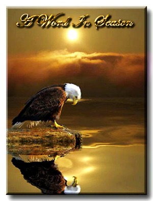 Eagle Reflection 2