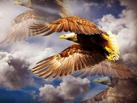 Eagle