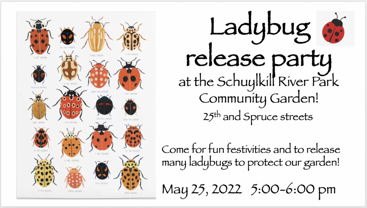 Ladybug05132022.png