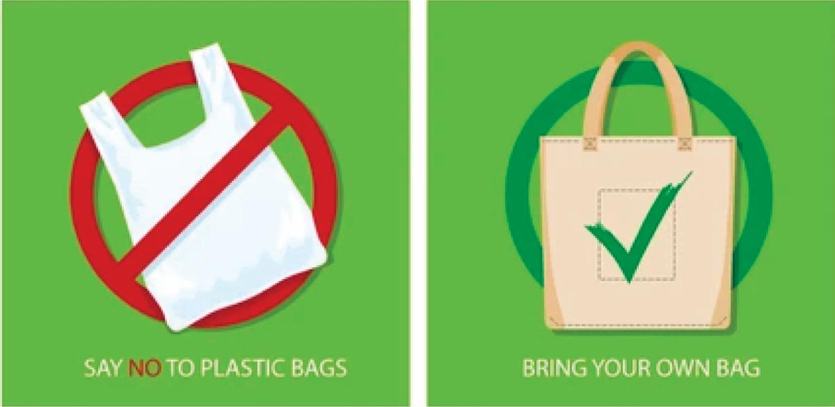 No Plastic Bags.jpg